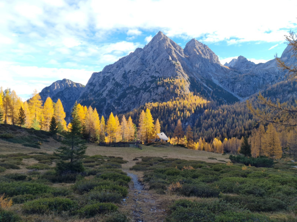 Herbstimpression Kerschbaumer Alm