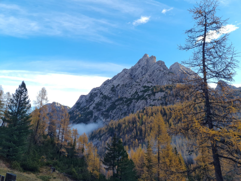 Herbstimpression Kerschbaumer Alm